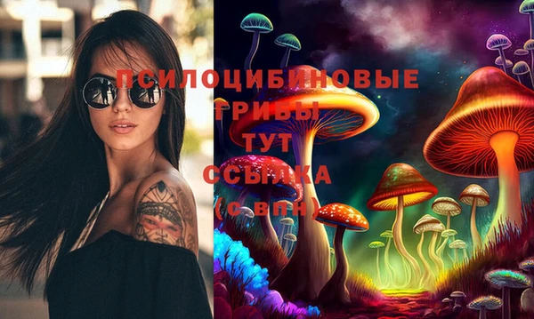 амф Михайловка