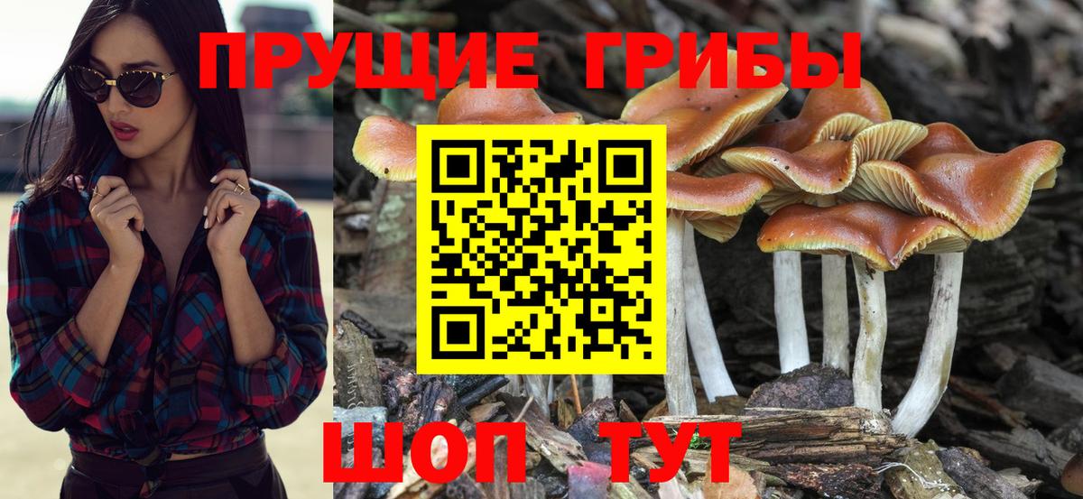 Галлюциногенные грибы GOLDEN TEACHER Мирный