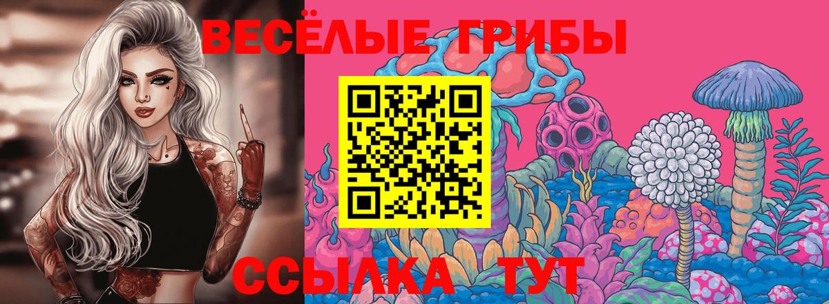 Псилоцибиновые грибы GOLDEN TEACHER  где купить наркоту  Галлюциногенные грибы GOLDEN TEACHER  Мирный 