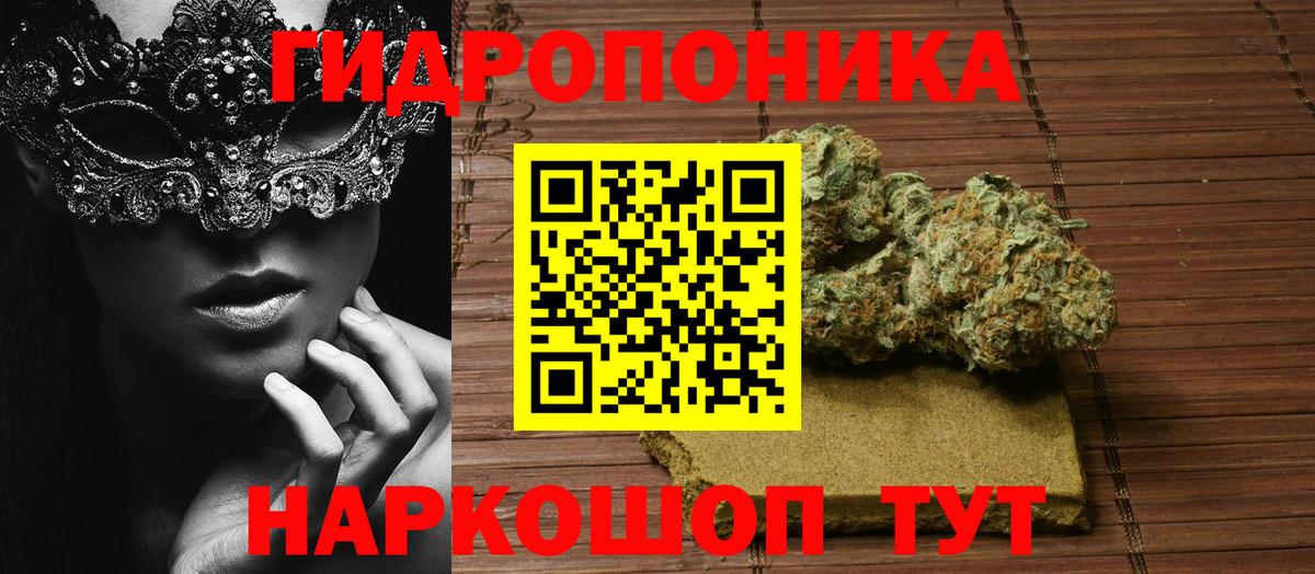 Шишки марихуана VHQ  Каннабис планчик  Мирный  Бошки марихуана THC 21%  Бошки марихуана индика 